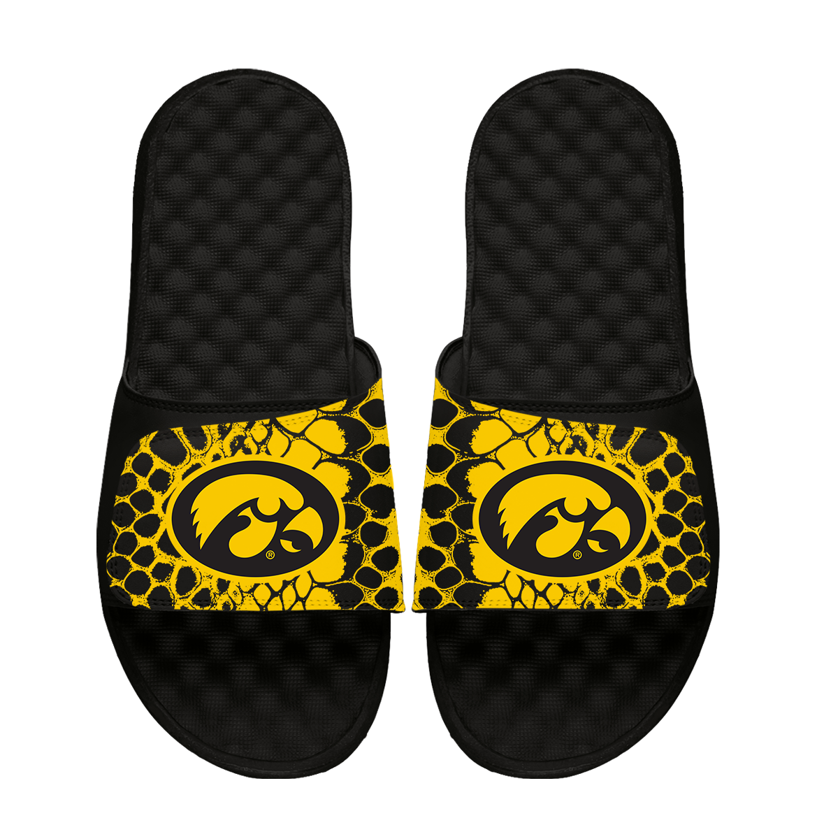 Iowa Hawkeyes Year of the Snake