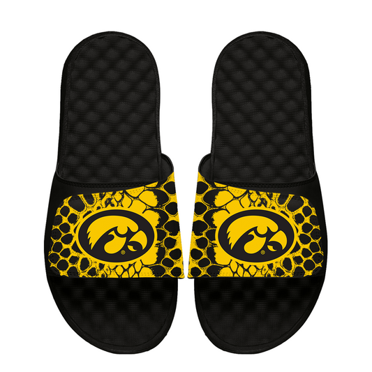 Iowa Hawkeyes Year of the Snake