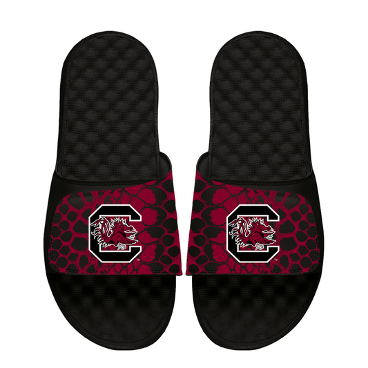 South Carolina Gamecocks Year of the Snake