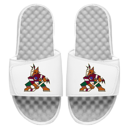 Arizona Coyotes Primary Slides