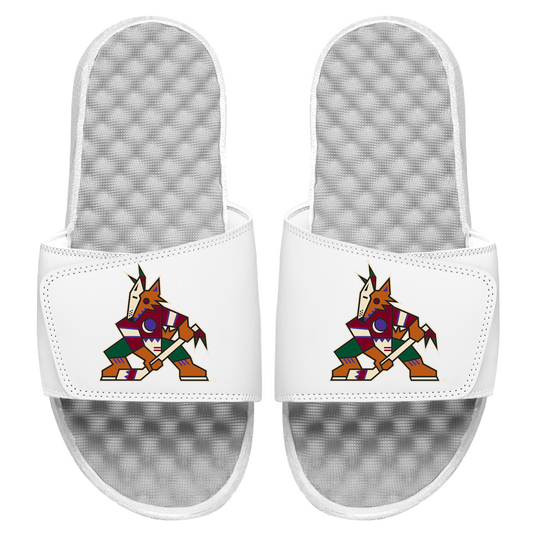 Arizona Coyotes Primary Slides