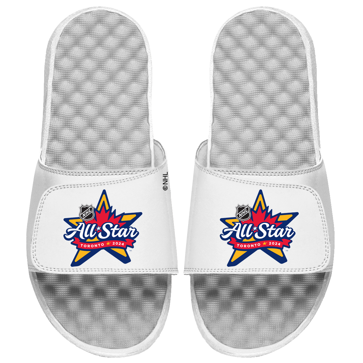 NHL 2024 All-Star Game Logo