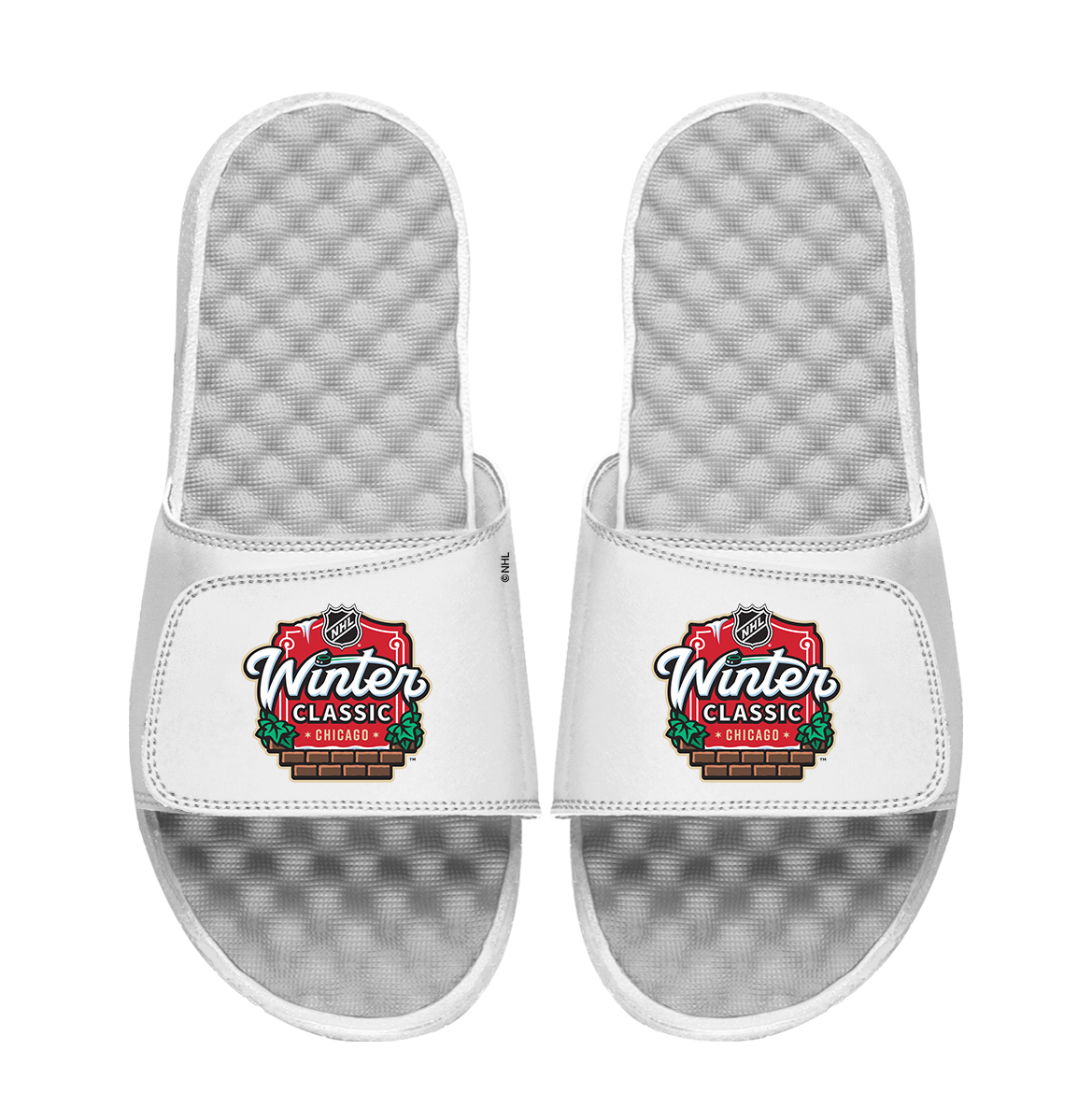 NHL 2025 Winter Classic Logo