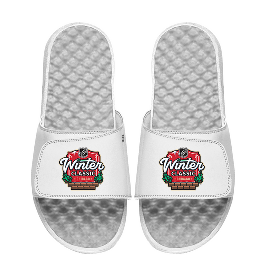 NHL 2025 Winter Classic Logo