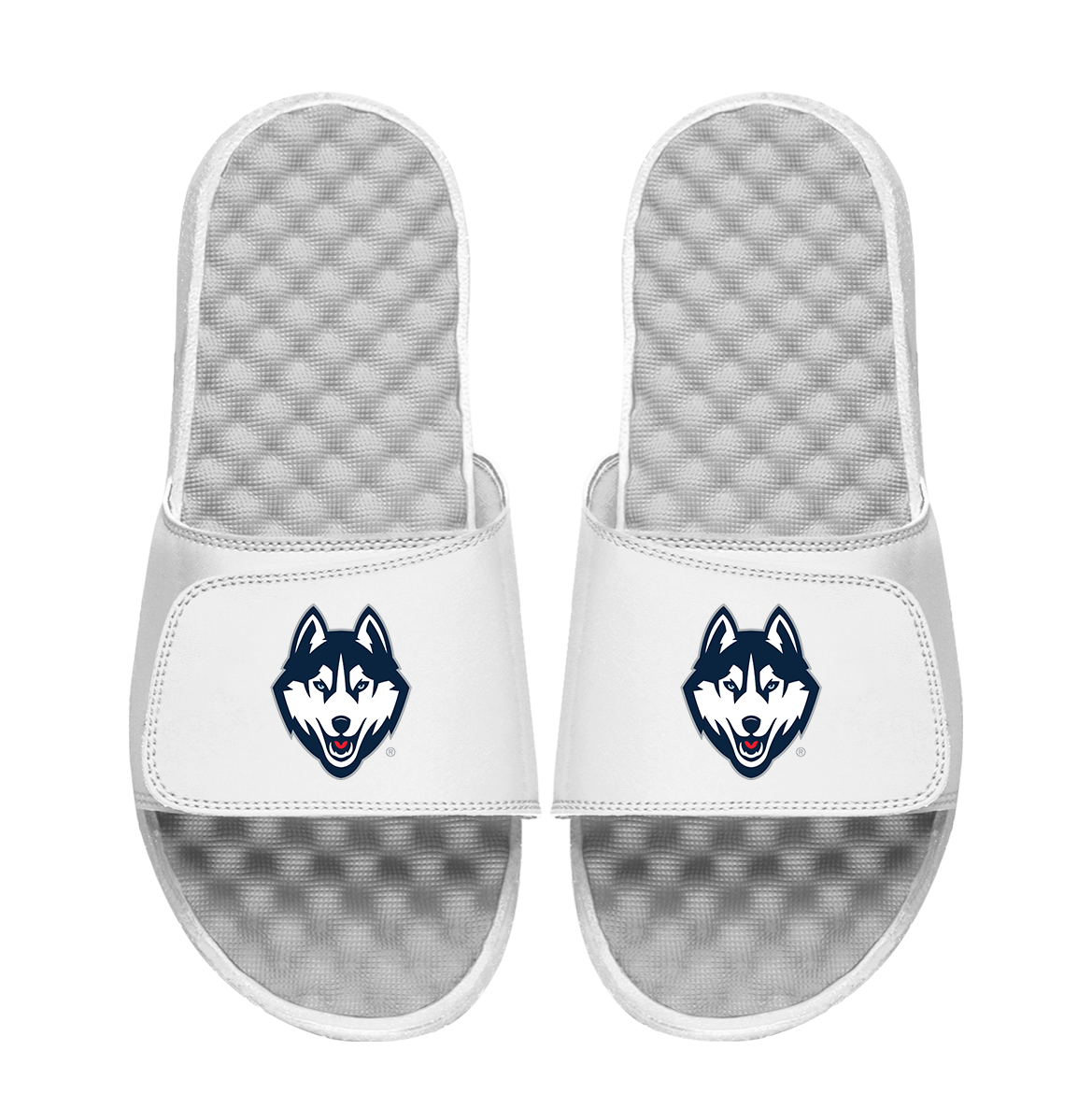 UConn Huskies Primary Logo