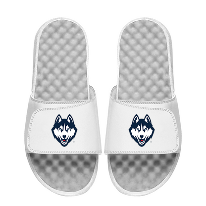 UConn Huskies Primary Logo