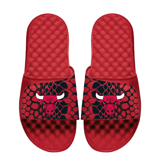 Chicago Bulls Year of the Snake