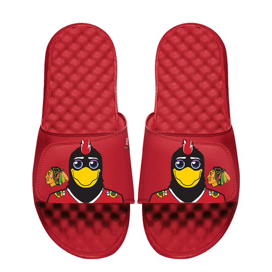 Chicago Blackhawks Mascot