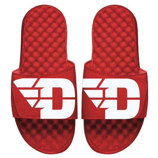 Dayton Blown Up Slides