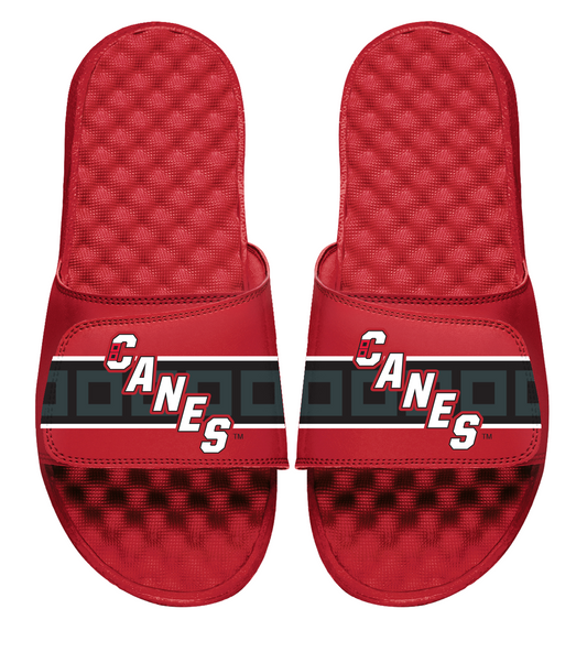 Carolina Hurricanes Reverse Retro Slides
