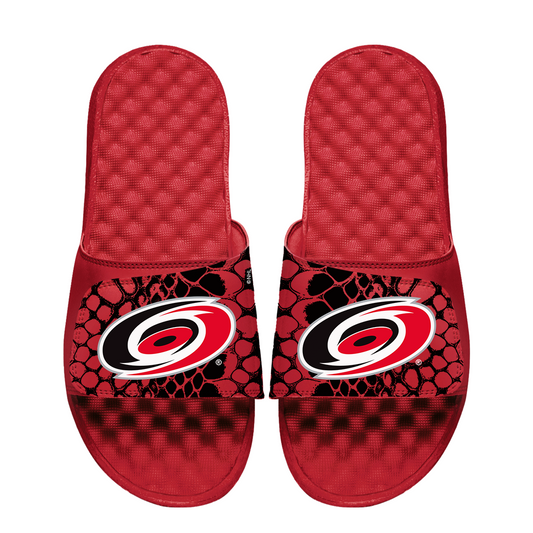 Hurricanes Year of the Snake