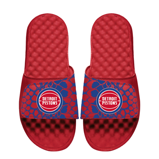 Detroit Pistons Year of the Snake