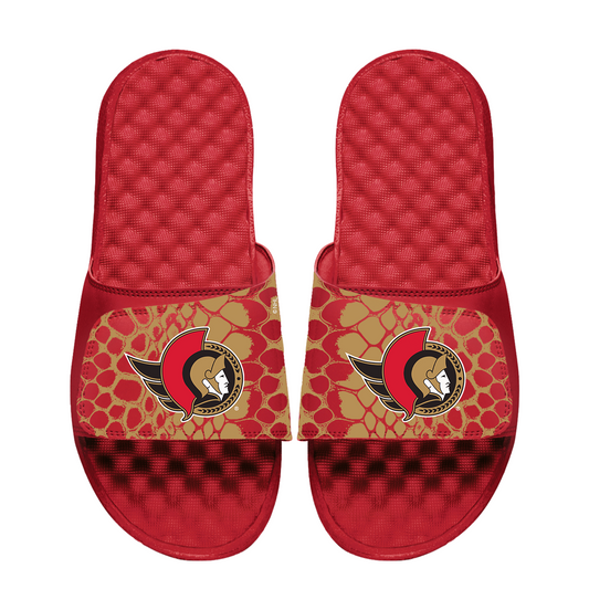 Senators Year of the Snake