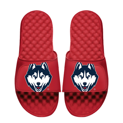 UConn Huskies Oversized Logo