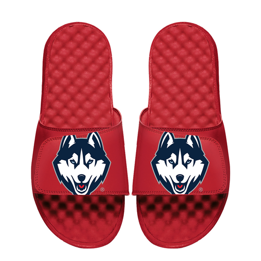 UConn Huskies Oversized Logo