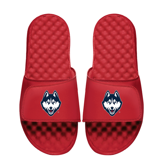 UConn Huskies Primary Logo