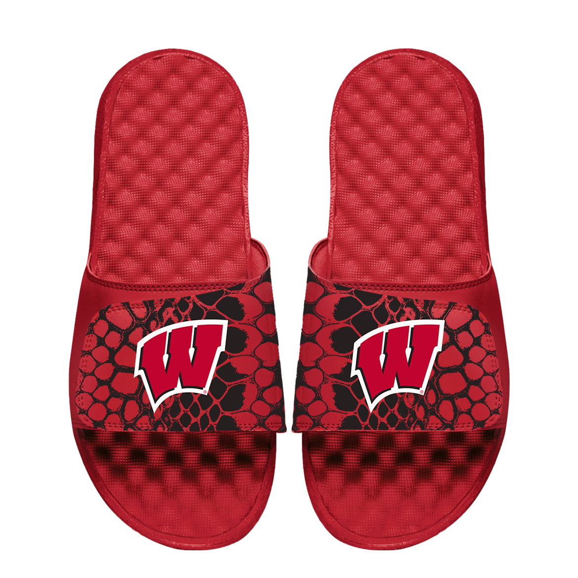 Wisconsin Badgers Year of the Snake
