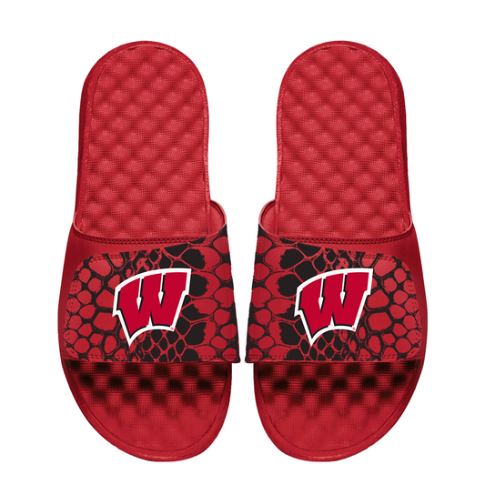 Wisconsin Badgers Year of the Snake