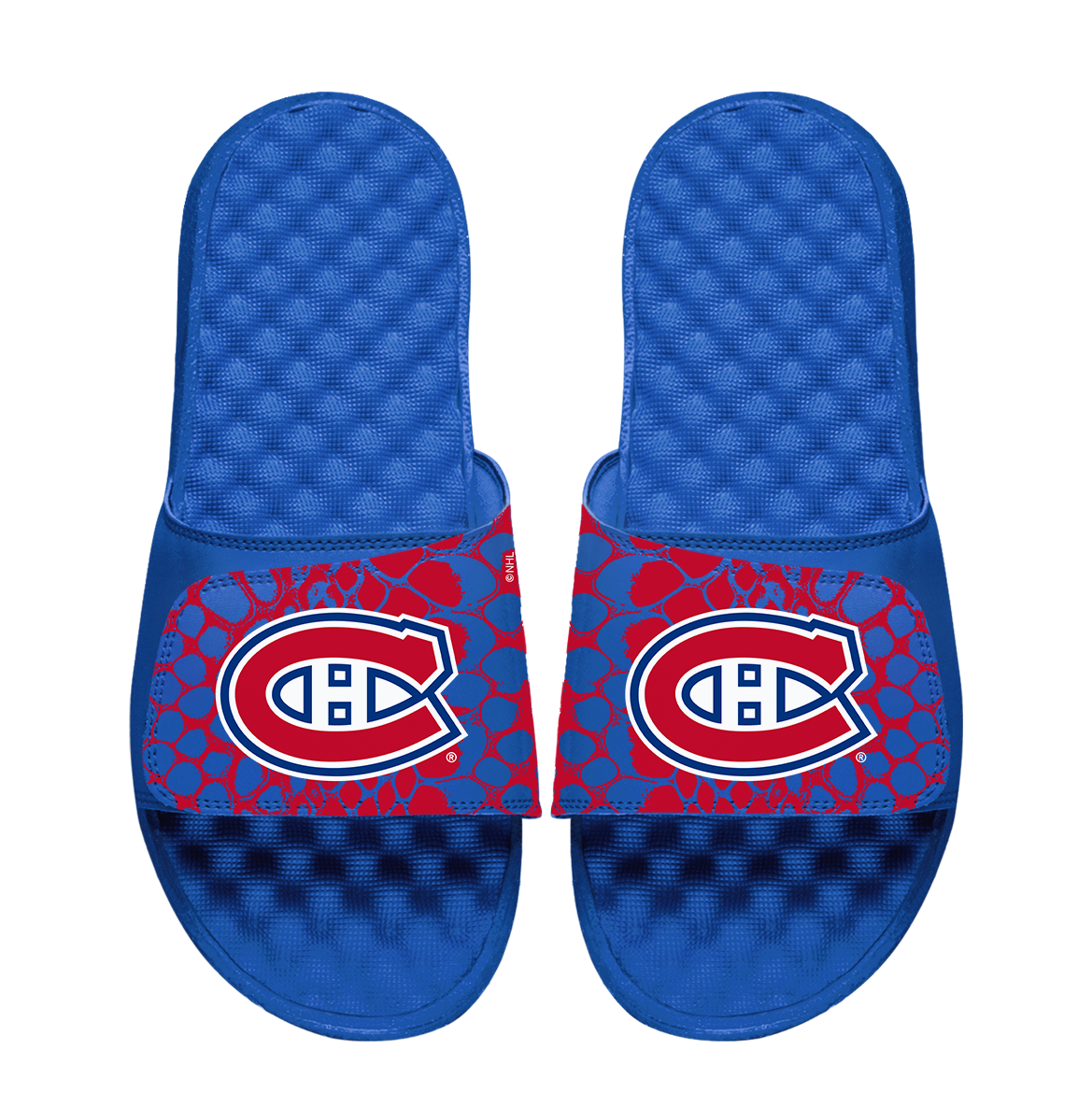 Canadiens Year of the Snake