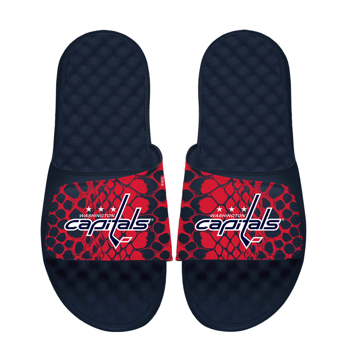 Capitals Year of the Snake