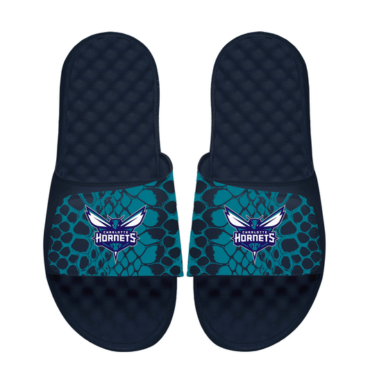 Charlotte Hornets Year of the Snake