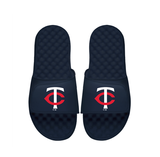 Minnesota Twins Primary Slides