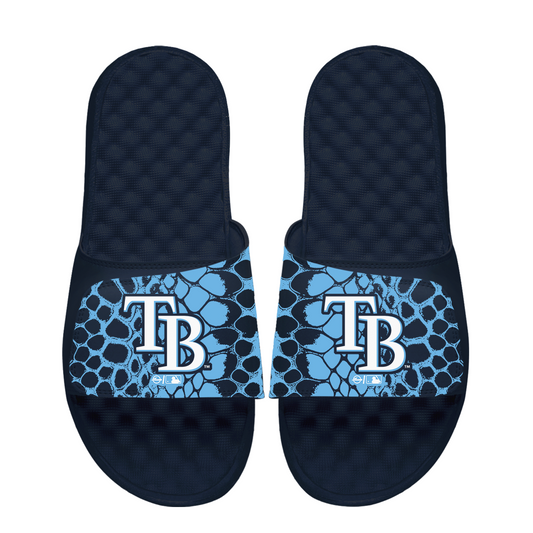 Tampa Bay Rays Year of the Snake