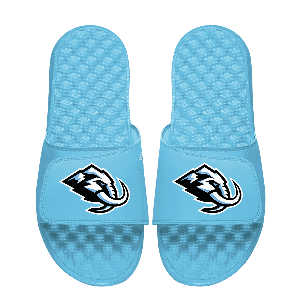 Utah Mammoth Primary Logo