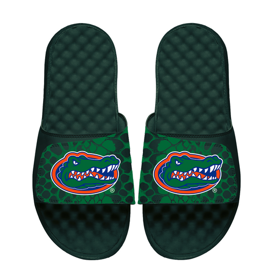 Florida Gators Year of the Snake