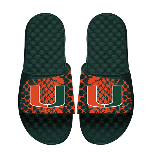 Miami Hurricanes Year of the Snake