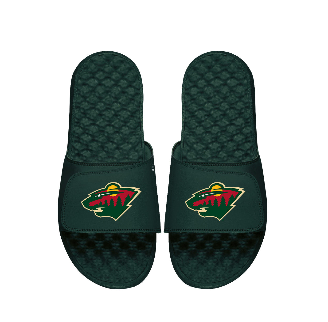 Minnesota Wild Dark Green Primary Slides