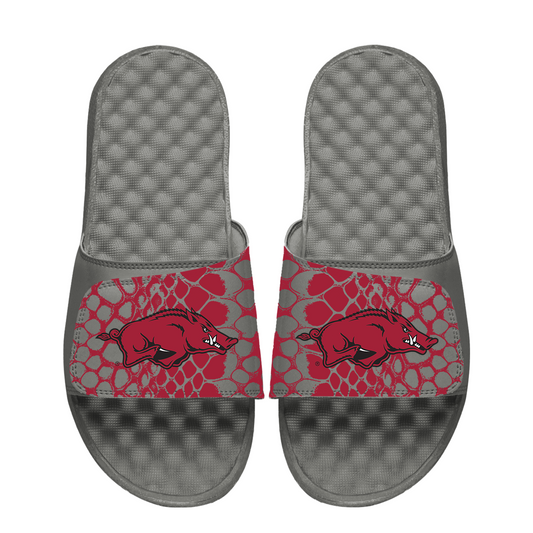 Arkansas Razorbacks Year of the Snake