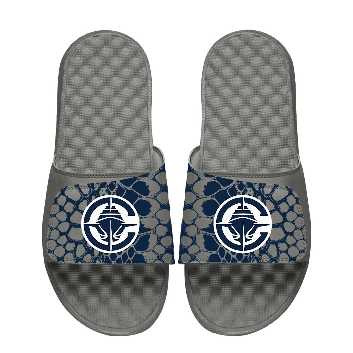 Los Angeles Clippers Year of the Snake