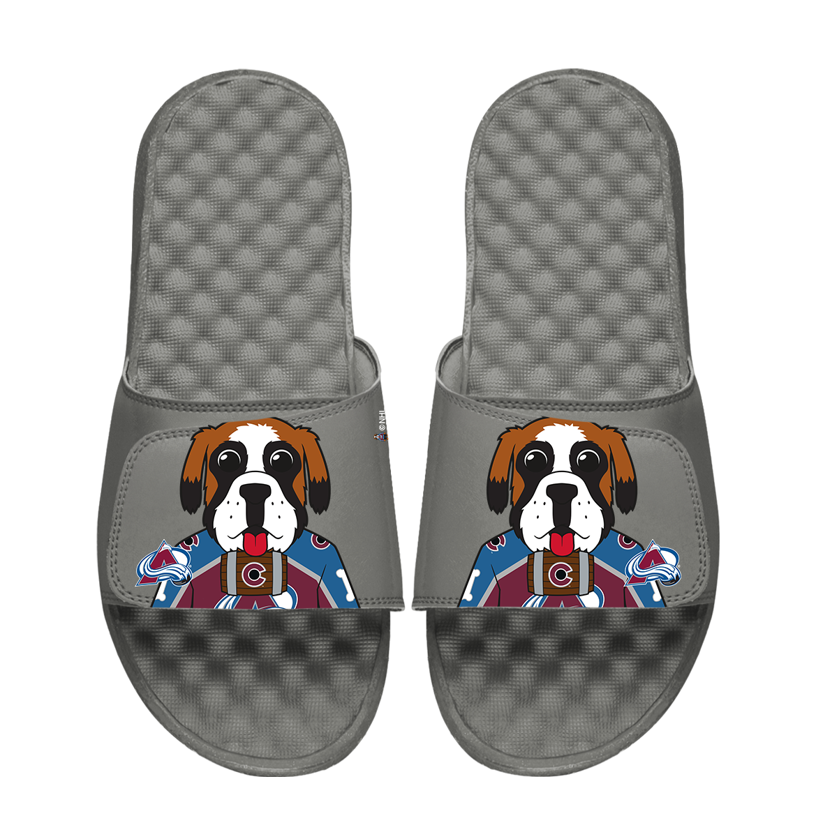 Colorado Avalanche Mascot