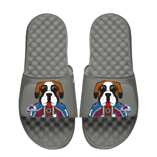 Colorado Avalanche Mascot