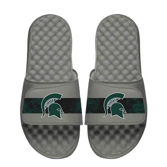 Michigan State Distressed