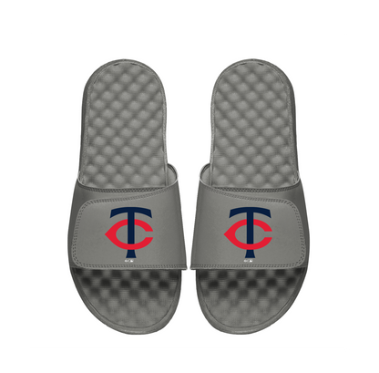 Minnesota Twins Primary Slides