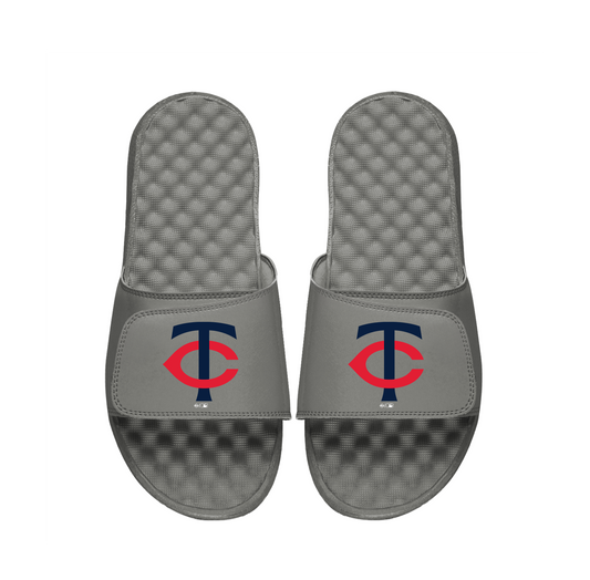 Minnesota Twins Primary Slides