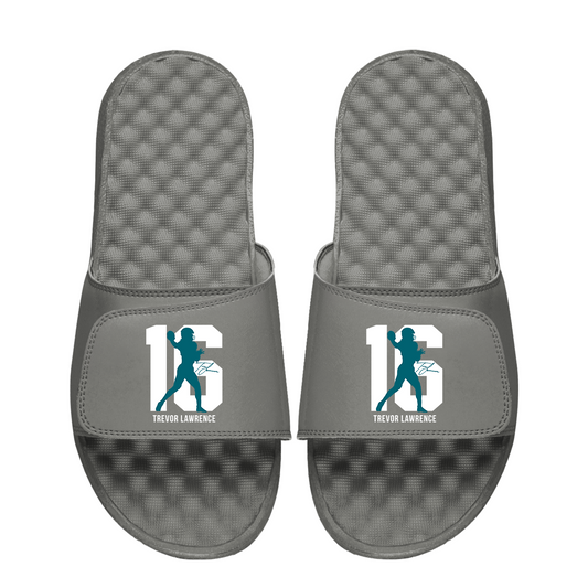 Trevor Lawrence Silhouette