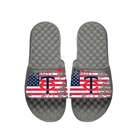 Minnestoa Twins American Flag Slides