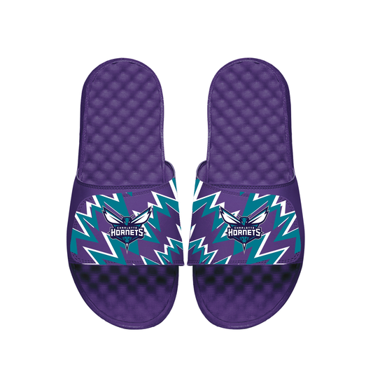 Hornets High Energy Slides