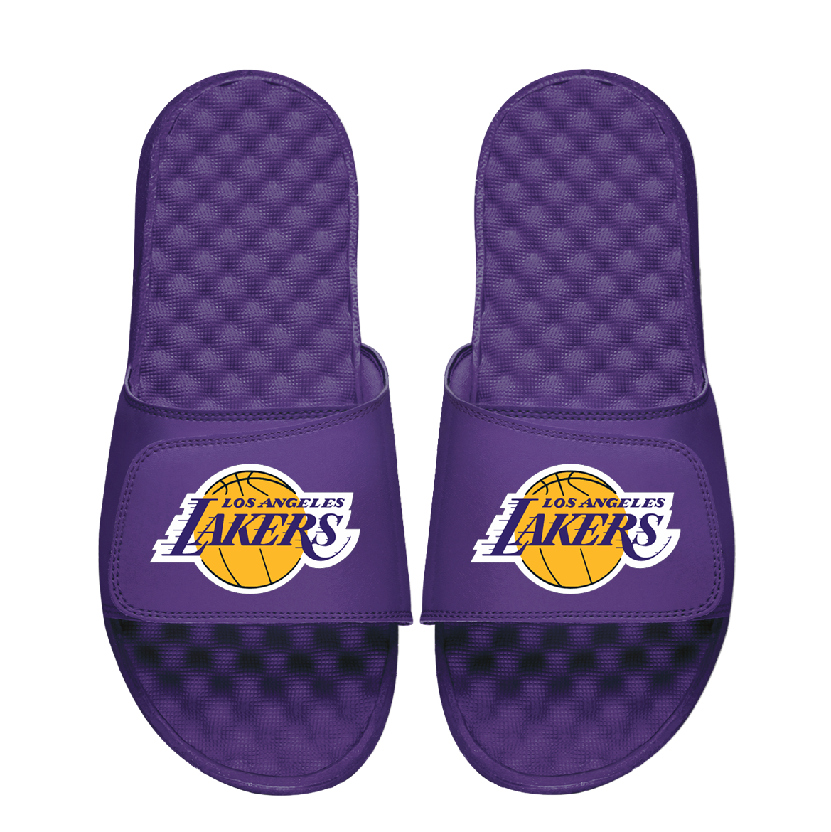 Los Angeles Lakers Primary Logo