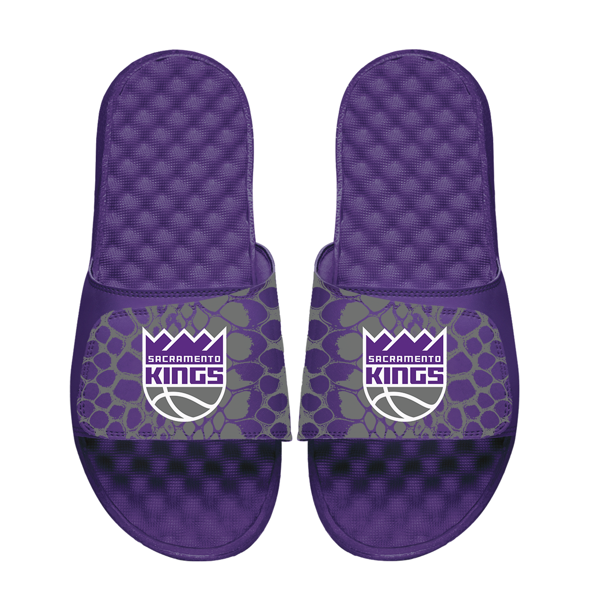 Sacramento Kings Year of the Snake