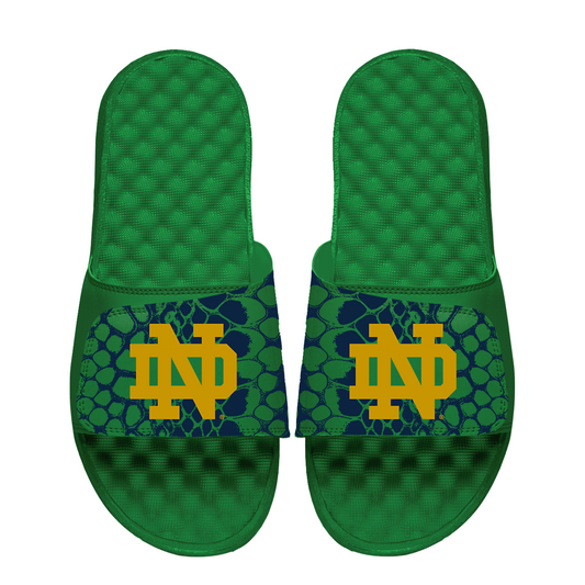 Notre Dame Fighting Irish Year of the Snake
