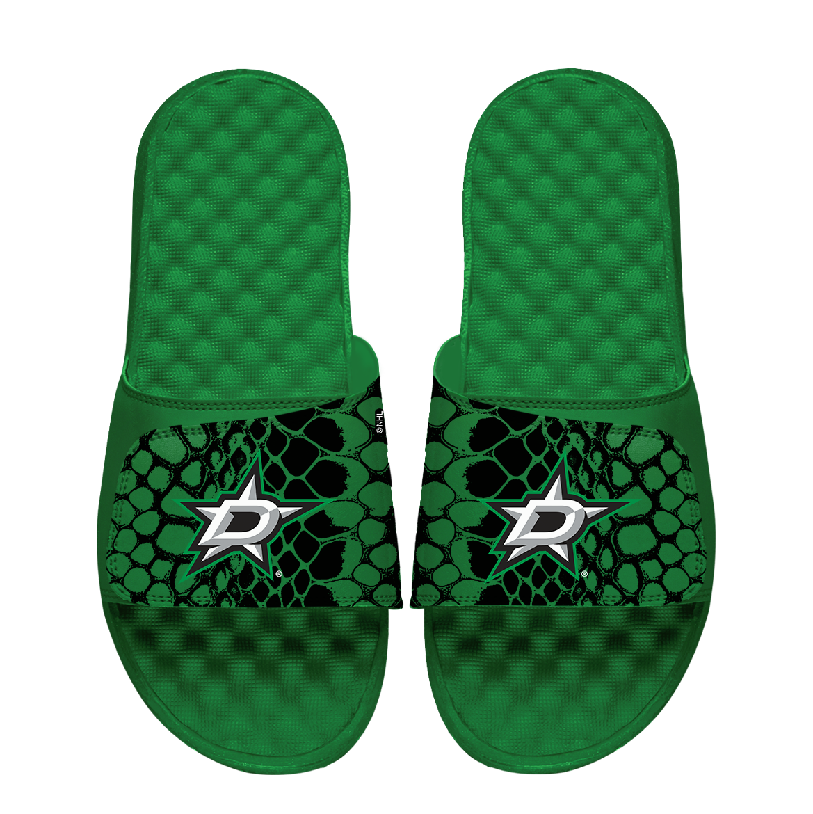 Stars Year of the Snake