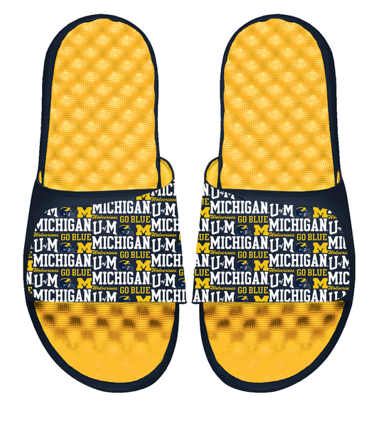 Michigan Maize Collage Slides