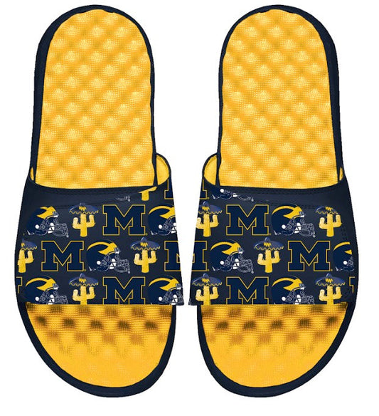 Michigan Maize Fiesta Bowl Collage Slides
