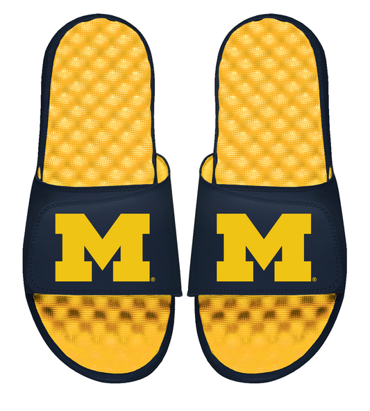 Michigan Maize Primary Blown Up Slides