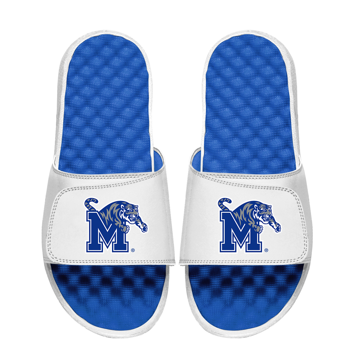 Memphis Tigers Primary