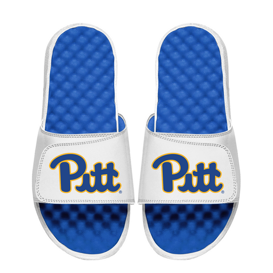Pitt Panthers Primary